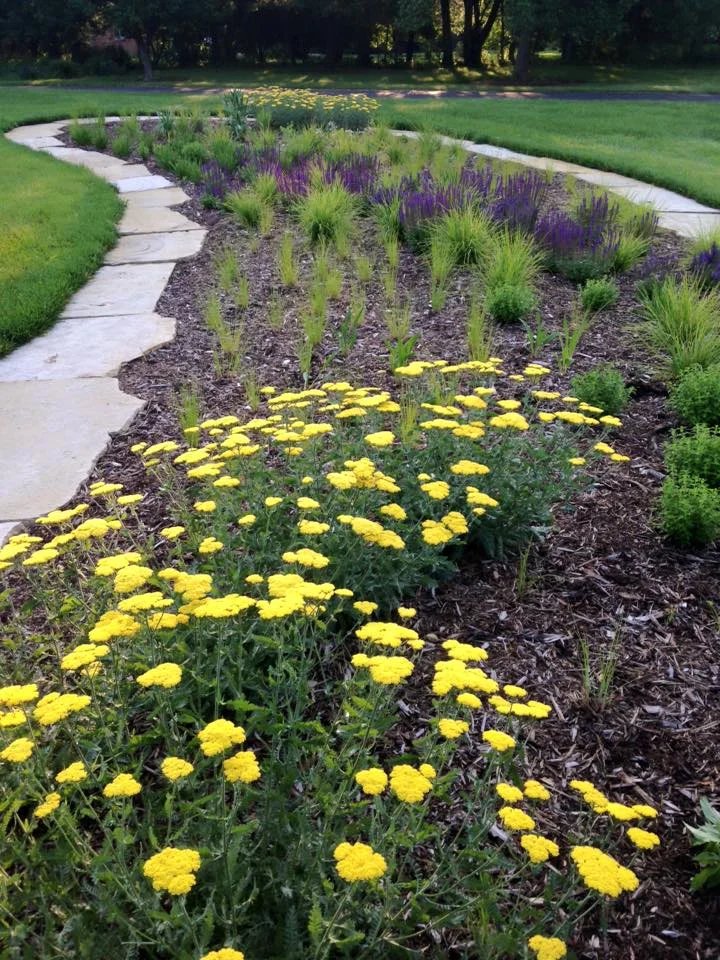 Paver driveway detail and entry garden — North Liberty, IA