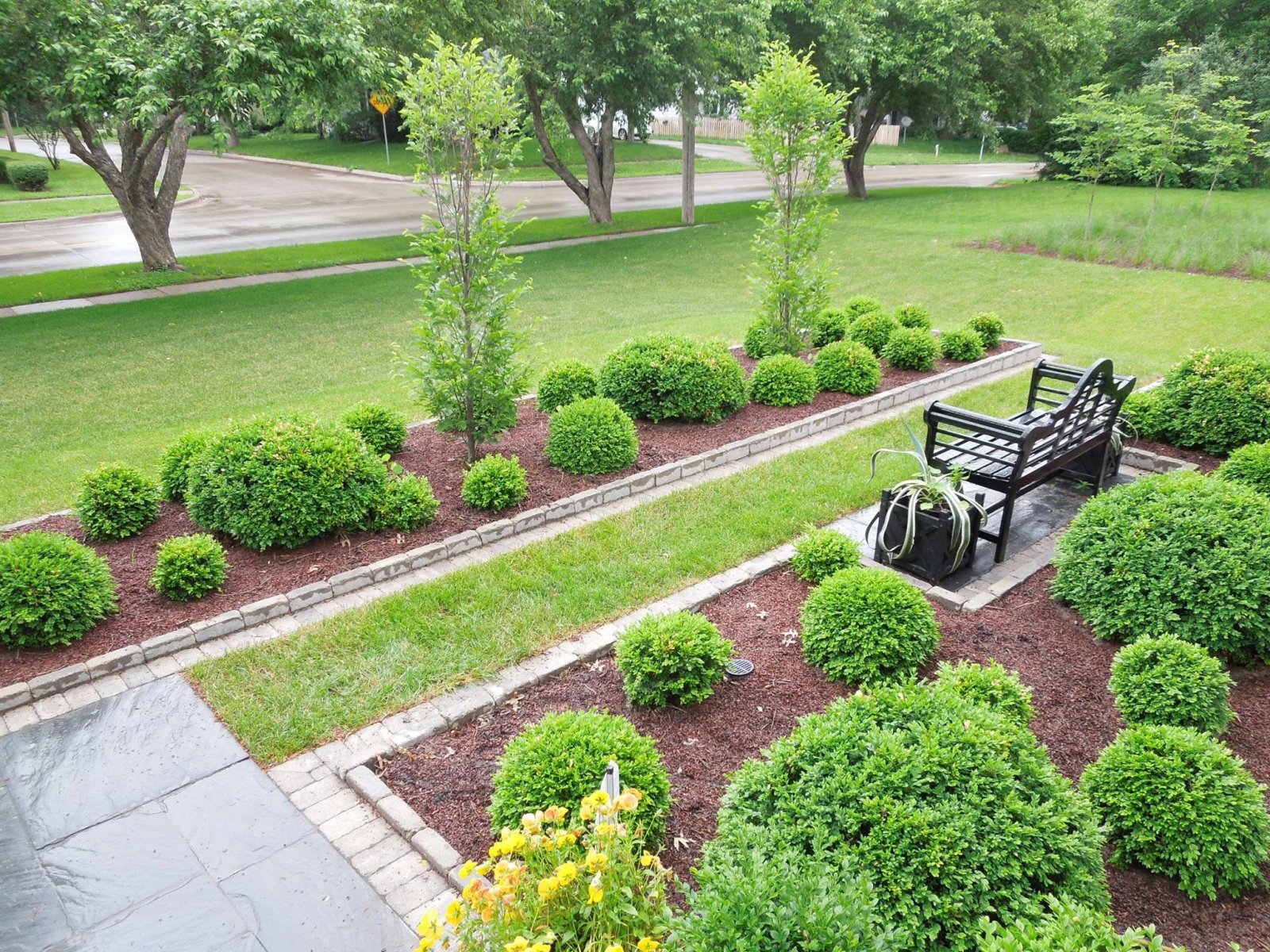Native plant garden installation — Iowa prairie species — Fiddlehead Gardens