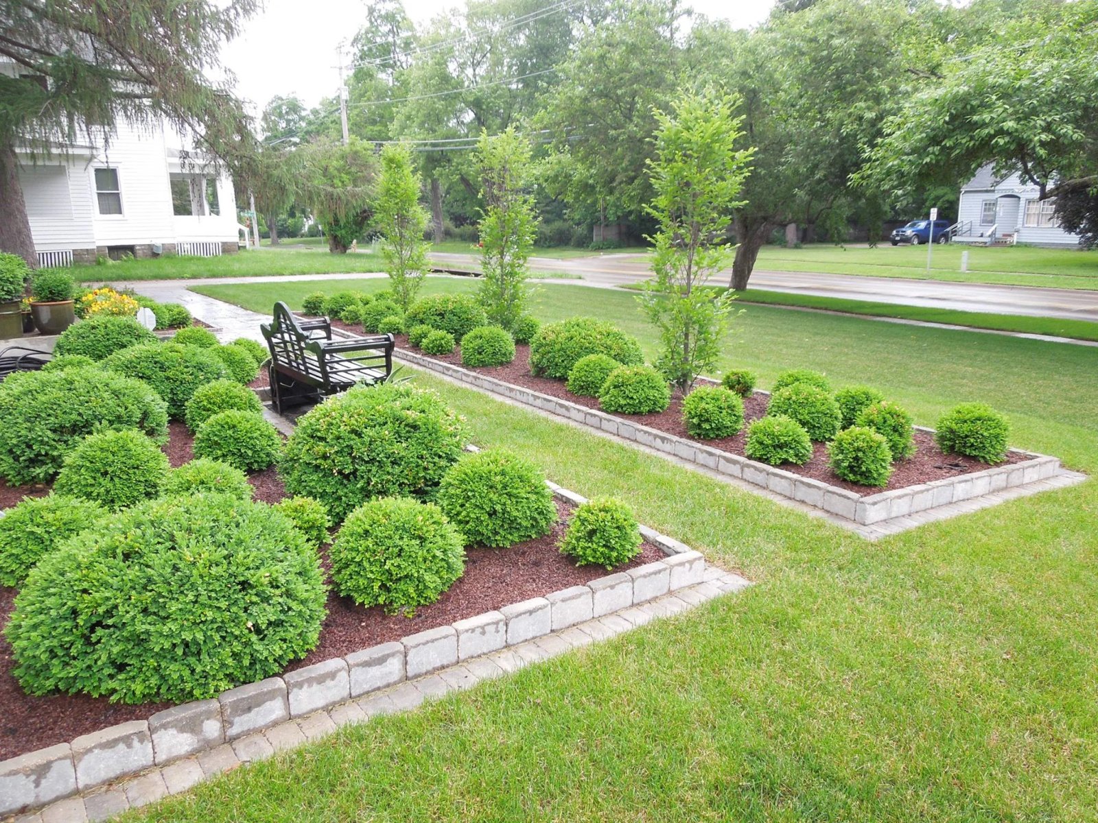 Formal garden design with structured hedge and native plantings — Fiddlehead Gardens