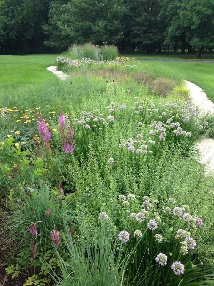 Garden planting installation with perennials and ornamental shrubs — Cedar Rapids, IA